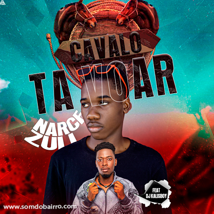 Cavalo Ta Voar
